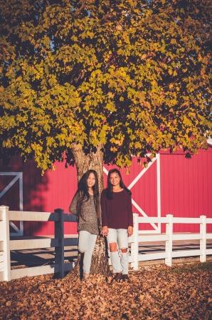 Fall Pictures